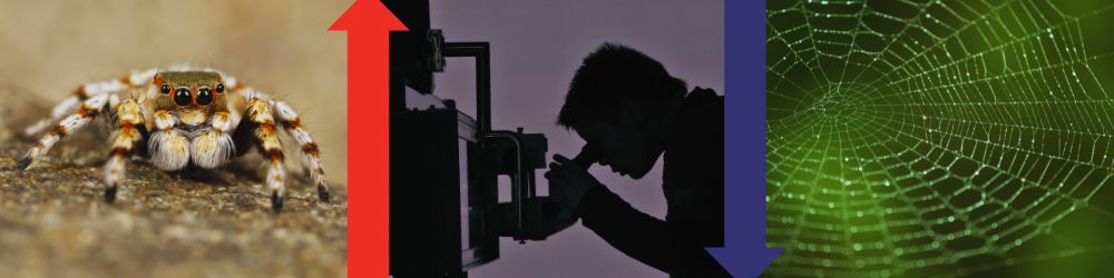 microscopy research